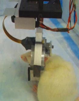 Popular Science: Wearable PET Scanner For Rats Enables Real-Time Monitoring of Awake, Moving Animals’ Brains